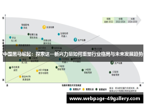 中国黑马崛起：探索这一新兴力量如何重塑行业格局与未来发展趋势
