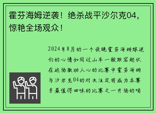 霍芬海姆逆袭！绝杀战平沙尔克04，惊艳全场观众！
